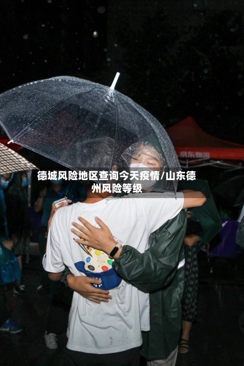 德城风险地区查询今天疫情/山东德州风险等级-第2张图片