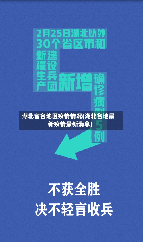 湖北省各地区疫情情况(湖北各地最新疫情最新消息)-第2张图片