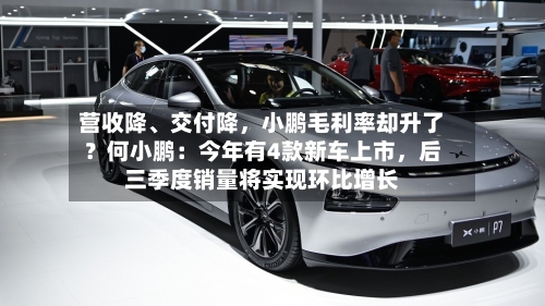 营收降、交付降，小鹏毛利率却升了？何小鹏：今年有4款新车上市	，后三季度销量将实现环比增长-第2张图片