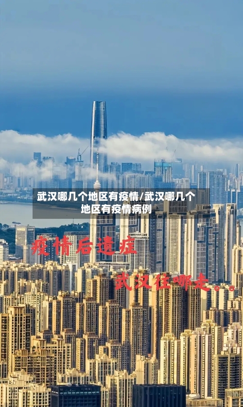 武汉哪几个地区有疫情/武汉哪几个地区有疫情病例-第2张图片
