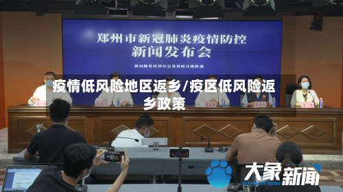 疫情低风险地区返乡/疫区低风险返乡政策