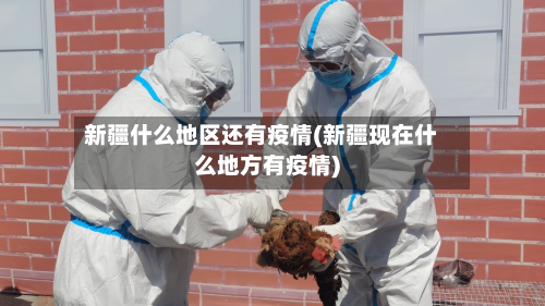 新疆什么地区还有疫情(新疆现在什么地方有疫情)-第2张图片