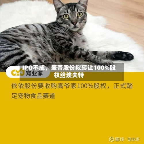 IPO不成，盛普股份拟转让100%股权给埃夫特-第3张图片