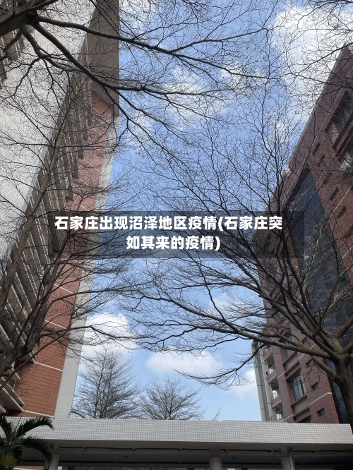 石家庄出现沼泽地区疫情(石家庄突如其来的疫情)