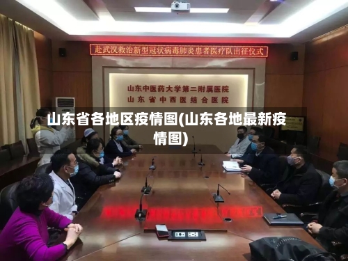 山东省各地区疫情图(山东各地最新疫情图)