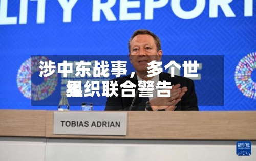 涉中东战事，多个世界组织联合警告-第2张图片