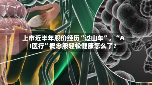 上市近半年股价经历“过山车	”，“AI医疗”概念股轻松健康怎么了？-第2张图片
