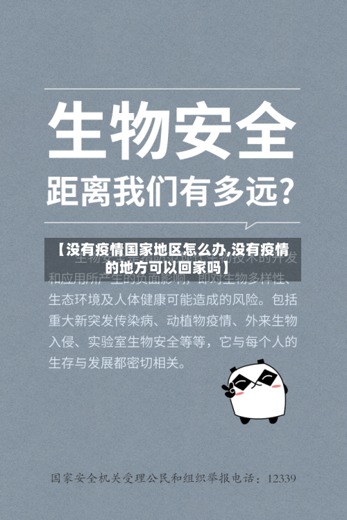 【没有疫情国家地区怎么办,没有疫情的地方可以回家吗】