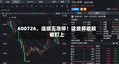 600726	，连续五涨停！这些异动股被盯上-第2张图片
