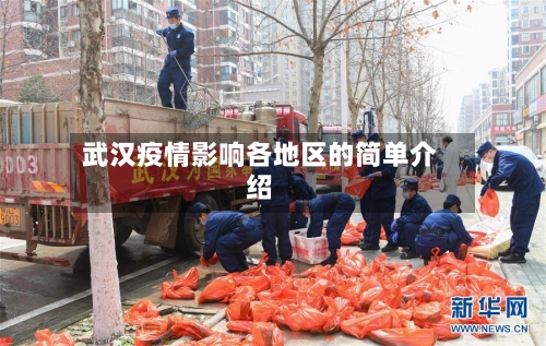 武汉疫情影响各地区的简单介绍