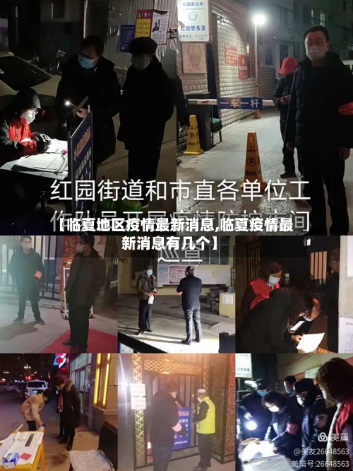 【临夏地区疫情最新消息,临夏疫情最新消息有几个】-第3张图片