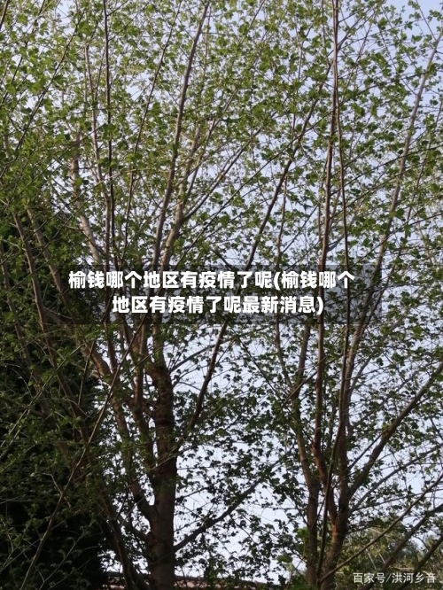 榆钱哪个地区有疫情了呢(榆钱哪个地区有疫情了呢最新消息)-第3张图片