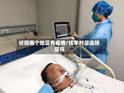 伏阳哪个地区有疫情/伏羊村是连锁店吗