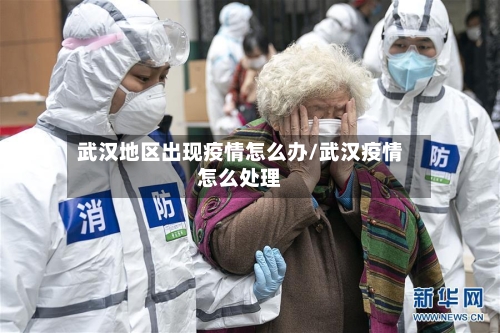 武汉地区出现疫情怎么办/武汉疫情怎么处理-第2张图片