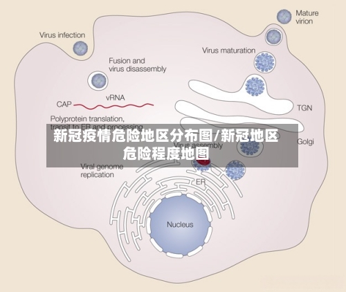 新冠疫情危险地区分布图/新冠地区危险程度地图-第2张图片