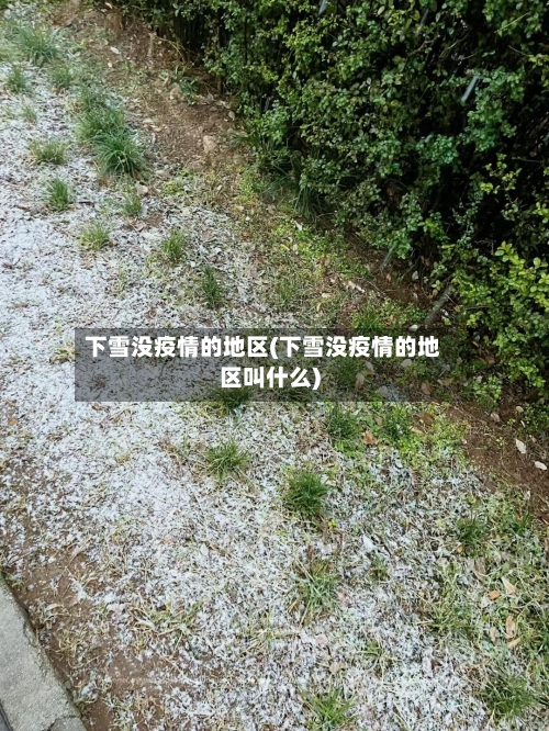 下雪没疫情的地区(下雪没疫情的地区叫什么)