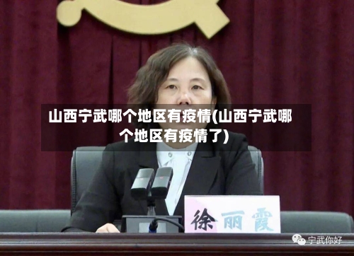 山西宁武哪个地区有疫情(山西宁武哪个地区有疫情了)