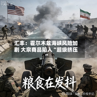 汇丰：霍尔木兹海峡风险加剧 大宗商品陷入“超级挤压	”-第2张图片
