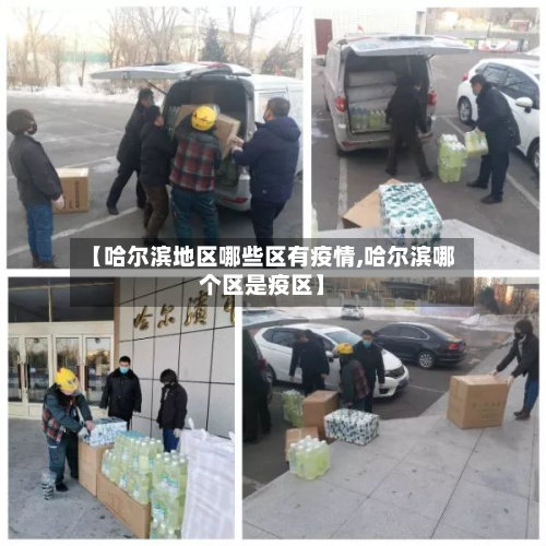 【哈尔滨地区哪些区有疫情,哈尔滨哪个区是疫区】-第2张图片
