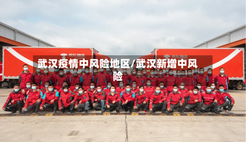 武汉疫情中风险地区/武汉新增中风险
