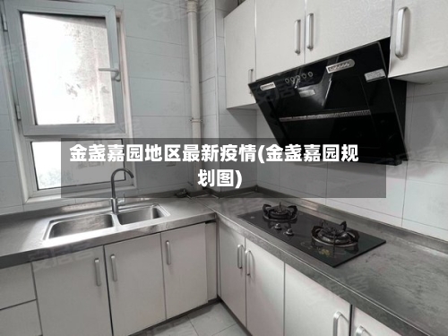 金盏嘉园地区最新疫情(金盏嘉园规划图)