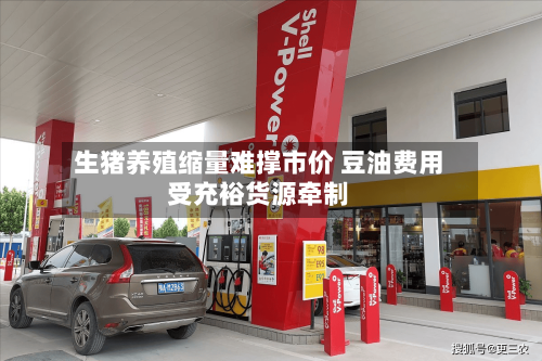 生猪养殖缩量难撑市价 豆油费用受充裕货源牵制