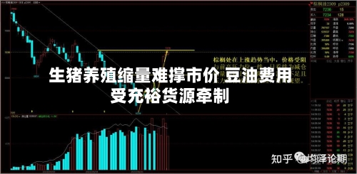 生猪养殖缩量难撑市价 豆油费用
受充裕货源牵制-第2张图片