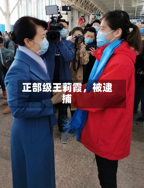 正部级王莉霞，被逮捕