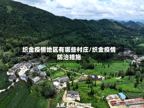 织金疫情地区有哪些村庄/织金疫情防治措施-第2张图片
