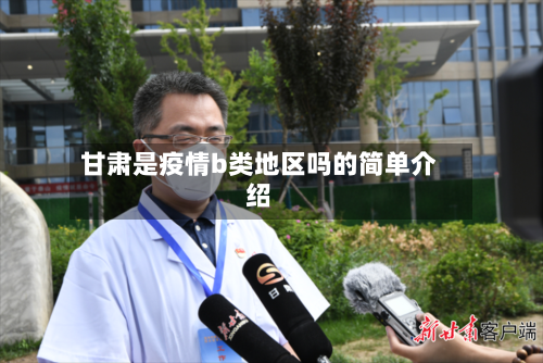 甘肃是疫情b类地区吗的简单介绍
