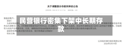 民营银行密集下架中长期存款