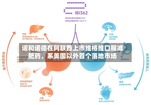 诺和诺德在阿联酋上市维格维口服减肥药	，系美国以外首个落地市场-第2张图片