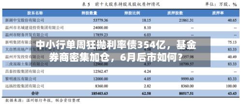 中小行单周狂抛利率债354亿，基金券商密集加仓，6月后市如何？