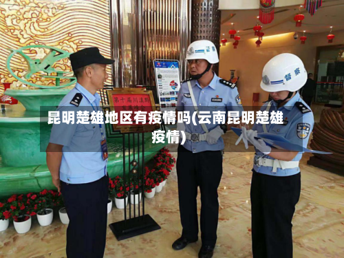 昆明楚雄地区有疫情吗(云南昆明楚雄疫情)-第3张图片