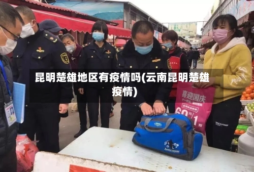 昆明楚雄地区有疫情吗(云南昆明楚雄疫情)-第2张图片