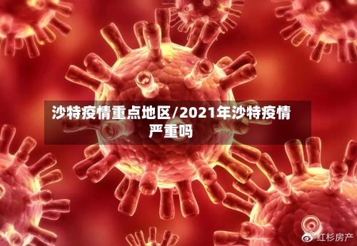 沙特疫情重点地区/2021年沙特疫情严重吗