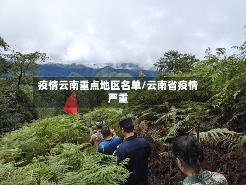 疫情云南重点地区名单/云南省疫情严重-第3张图片