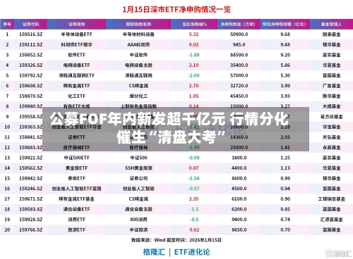 公募FOF年内新发超千亿元 行情分化催生“清盘大考”-第3张图片