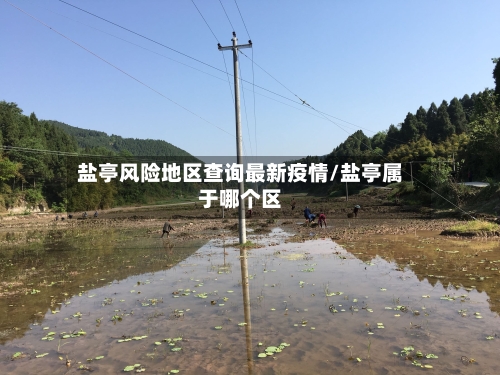 盐亭风险地区查询最新疫情/盐亭属于哪个区-第3张图片