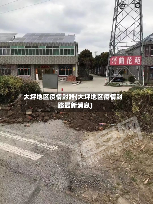 大坪地区疫情封路(大坪地区疫情封路最新消息)-第3张图片