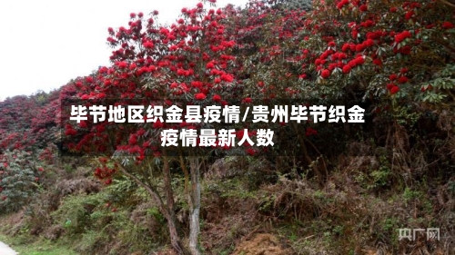毕节地区织金县疫情/贵州毕节织金疫情最新人数-第3张图片