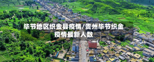 毕节地区织金县疫情/贵州毕节织金疫情最新人数-第2张图片