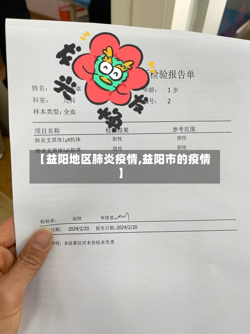 【益阳地区肺炎疫情,益阳市的疫情】-第2张图片