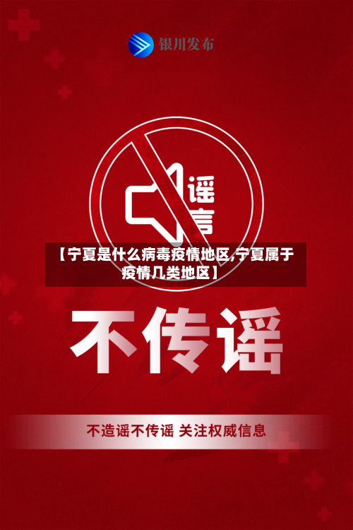 【宁夏是什么病毒疫情地区,宁夏属于疫情几类地区】