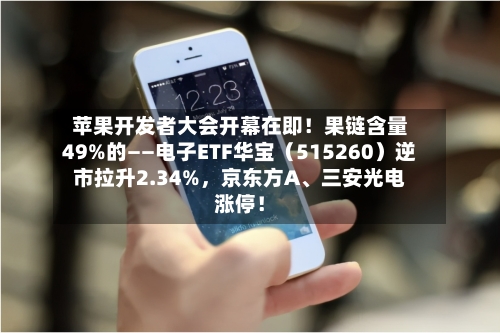 苹果开发者大会开幕在即！果链含量49%的——电子ETF华宝（515260）逆市拉升2.34%，京东方A、三安光电涨停！-第3张图片