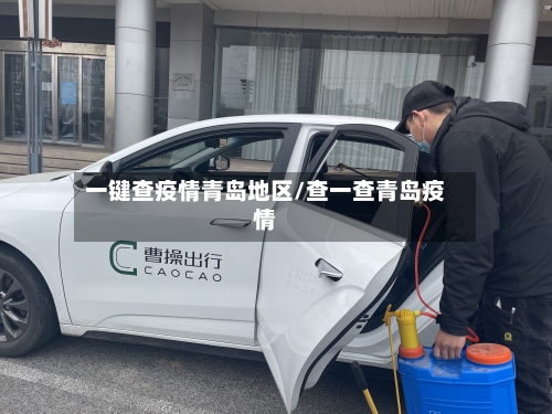 一键查疫情青岛地区/查一查青岛疫情
